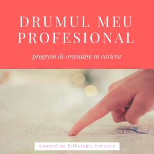 Drumul meu profesional